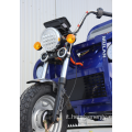Nuovo design in vendita triciclo cargo di grande potenza